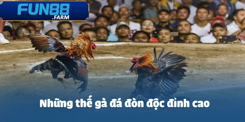 Gà Đá Đòn Độc: Bí Quyết Chiến Thắng Chớp Nhoáng 3 ga-da-don-doc