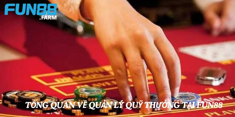 Tổng quan về quản lý quỹ thưởng và tuyến dưới tại Fun88